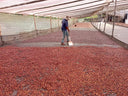 Colombia Villa Pastora Natural